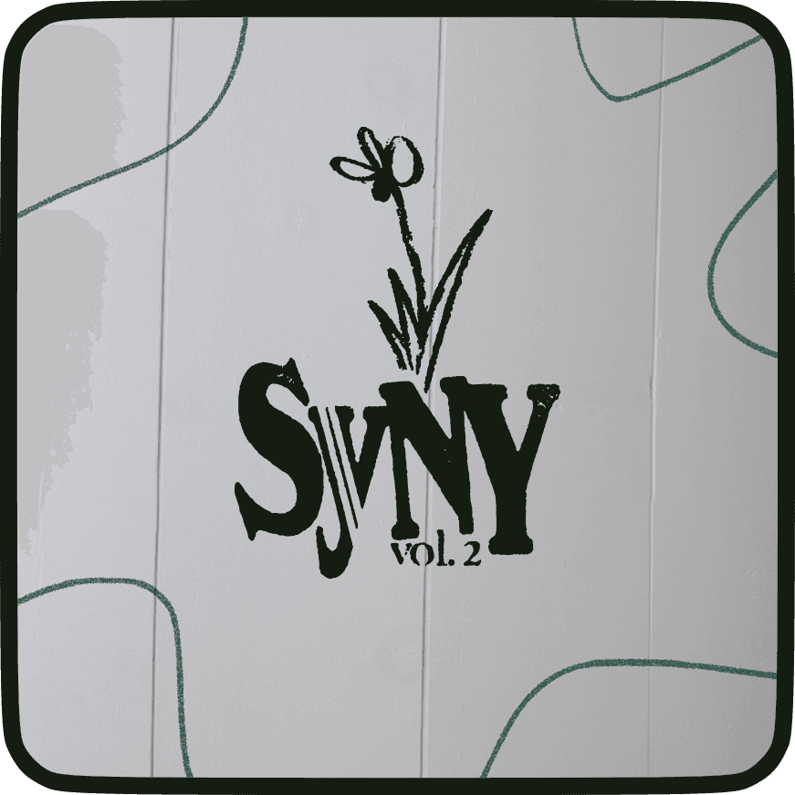 syny2 icon hover