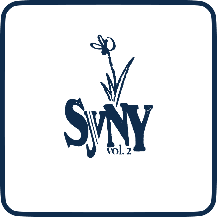 syny2 icon